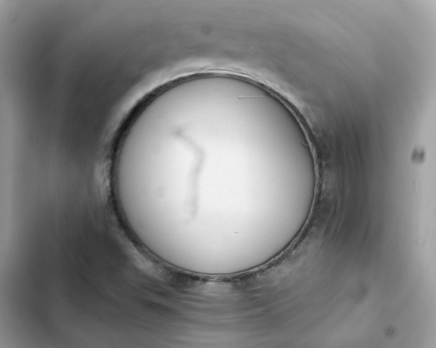 X0000102371503200808151823