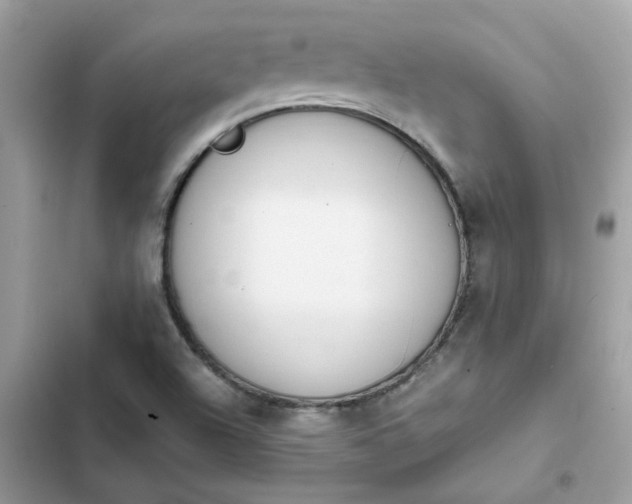 X0000102371504200808151823