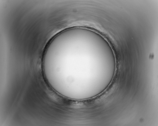 X0000102371505200808151823