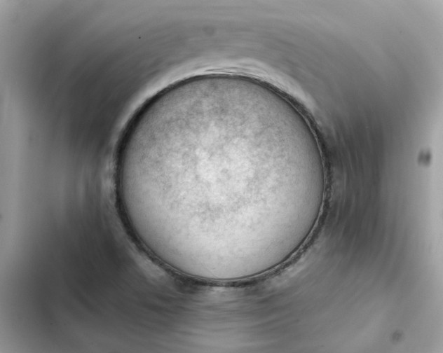 X0000102371506200808151823