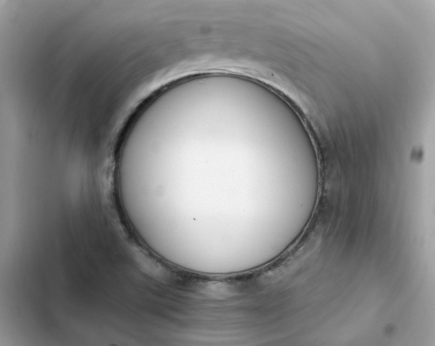 X0000102371507200808151823