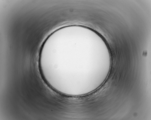 X0000102371508200808151823