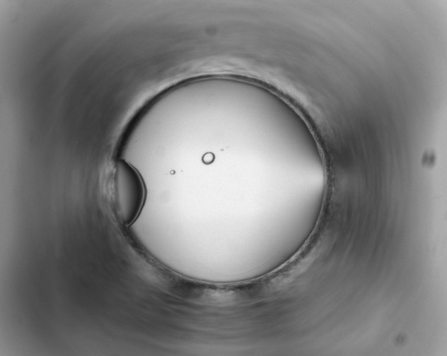 X0000102371509200808151823