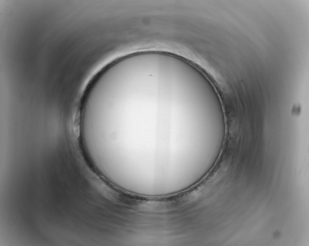 X0000102371510200808151823