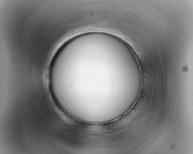 X0000102371511200808151823