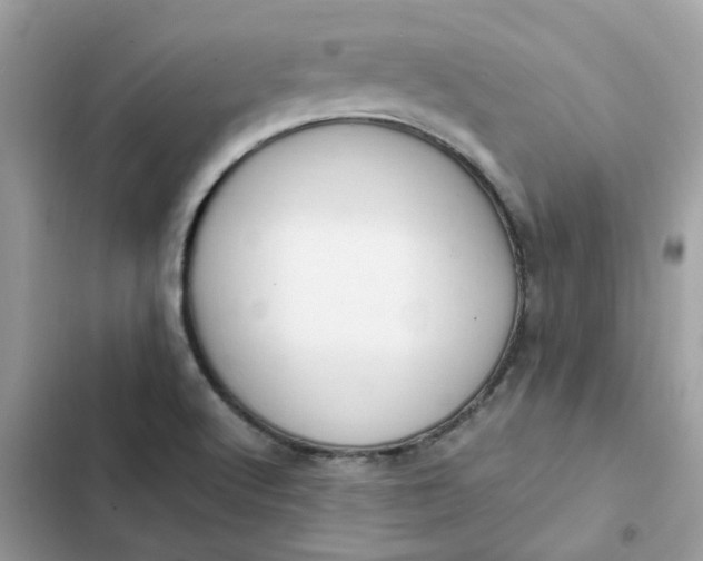 X0000102371512200808151823