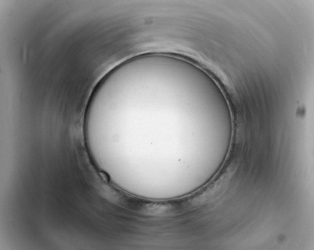 X0000102371513200808151823