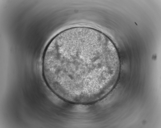 X0000102371514200808151824