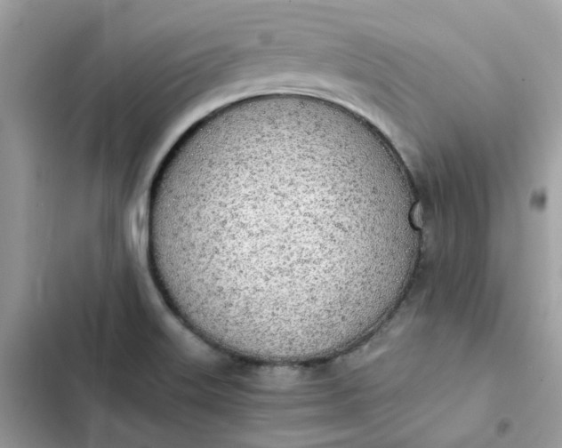 X0000102371515200808151824