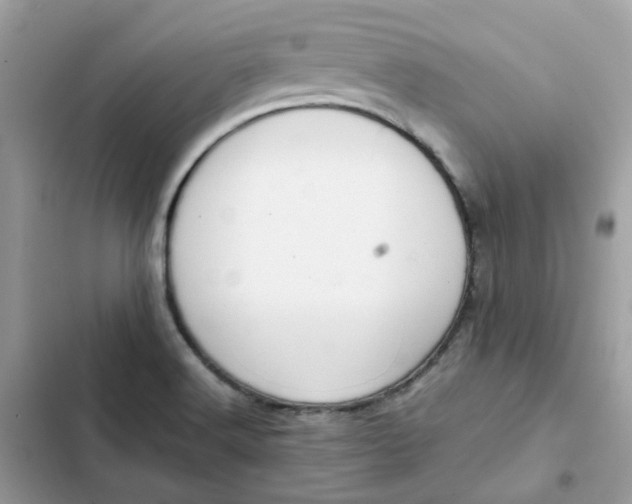 X0000102371516200808151824