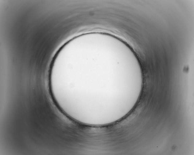 X0000102371518200808151824