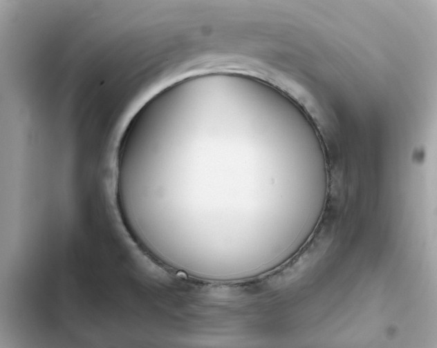 X0000102371520200808151824