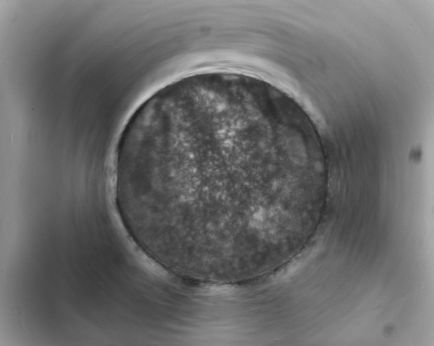 X0000102371522200808151824