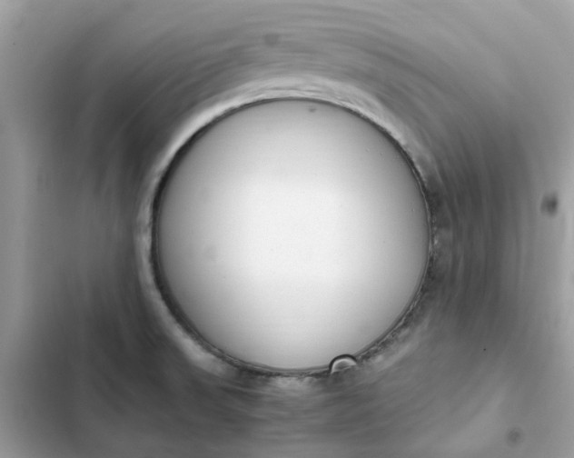 X0000102371523200808151824