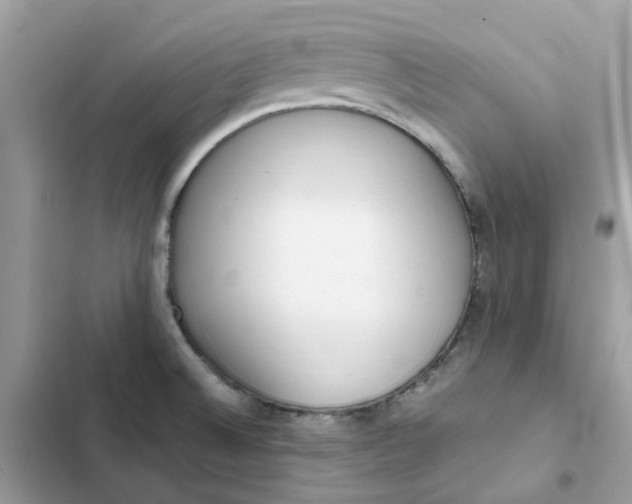 X0000102371524200808151824