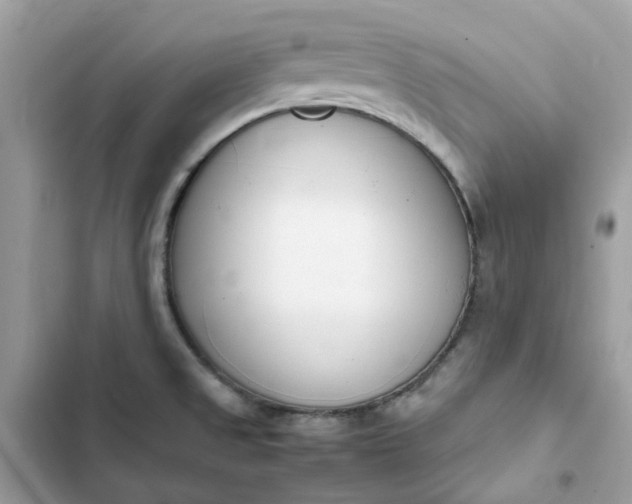 X0000102371525200808151824