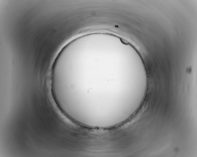 X0000102371526200808151824