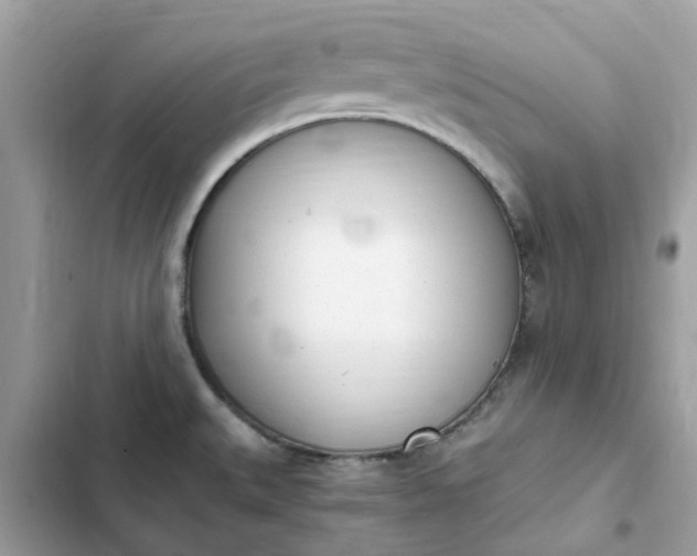 X0000102371527200808151824