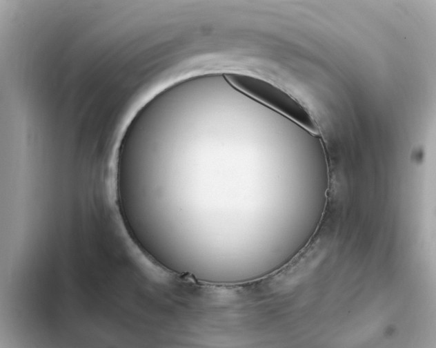 X0000102371528200808151824