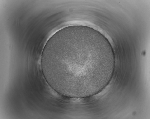 X0000102371529200808151824