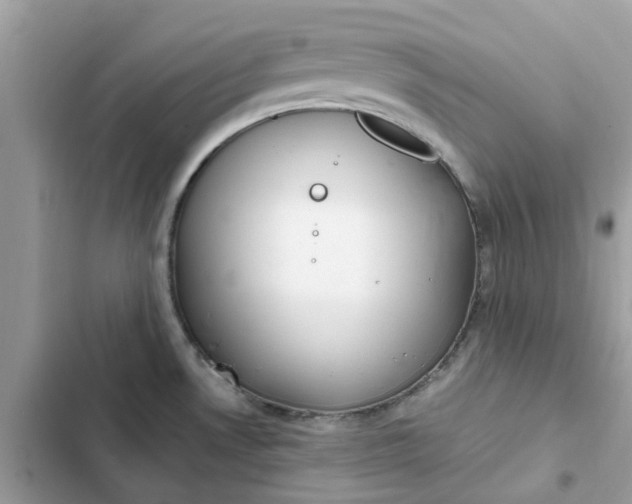 X0000102371530200808151824