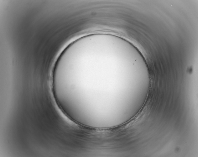 X0000102371531200808151824