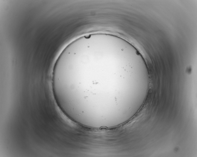 X0000102371532200808151824