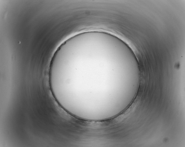 X0000102371534200808151824