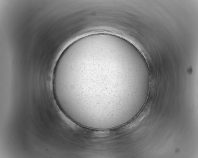 X0000102371535200808151824