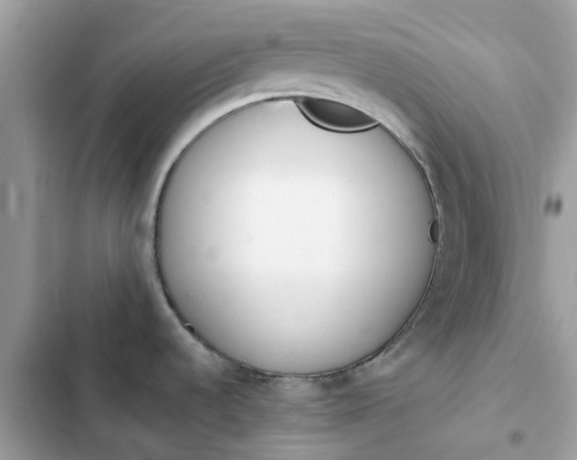 X0000102371536200808151824