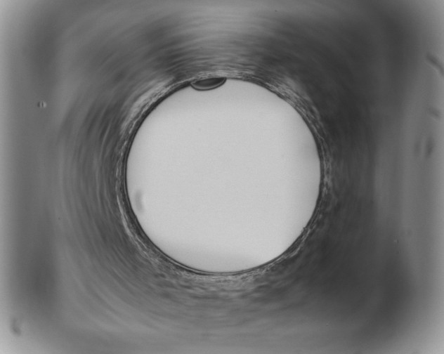 X0000102370001200808221750