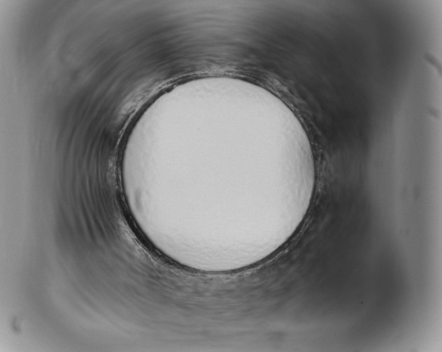 X0000102370002200808221750