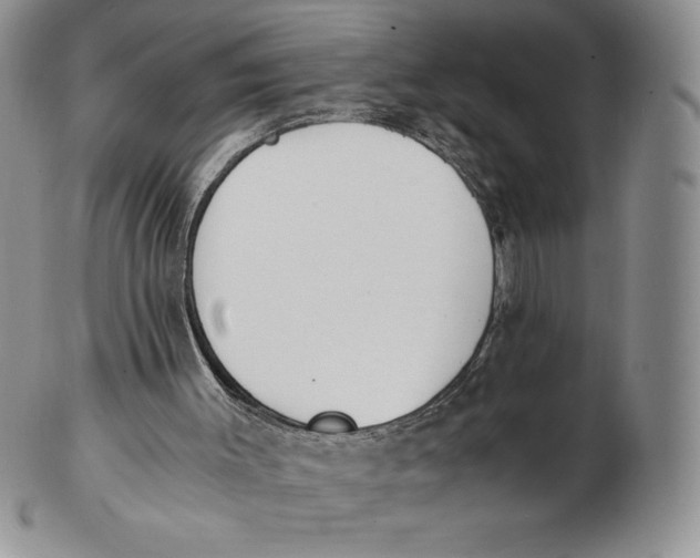 X0000102370003200808221750