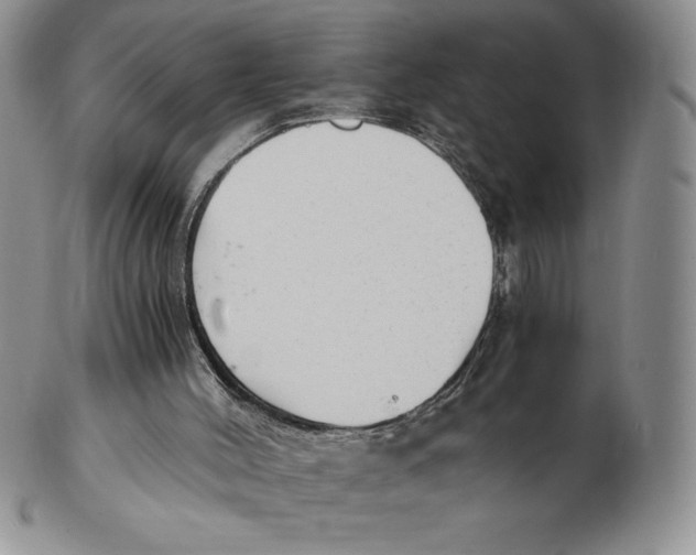 X0000102370004200808221750