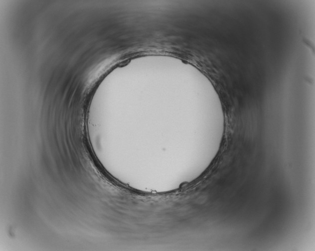 X0000102370005200808221750