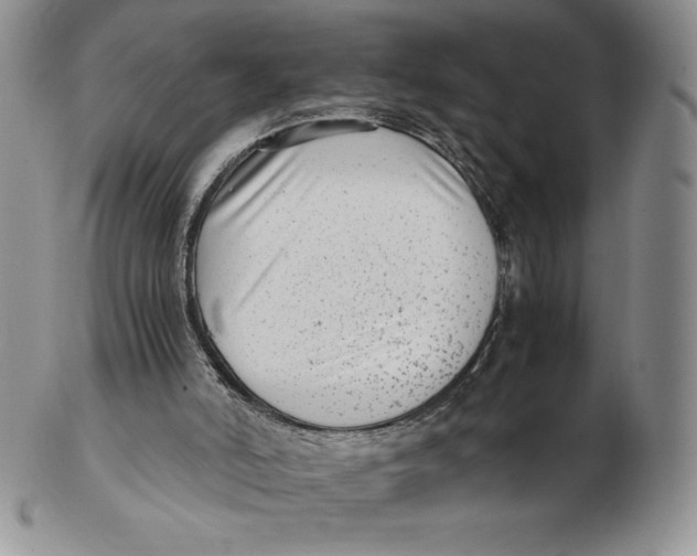 X0000102370006200808221750