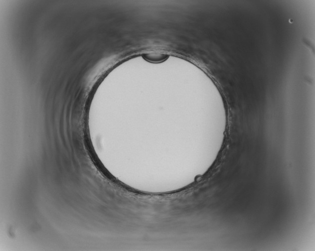 X0000102370007200808221750