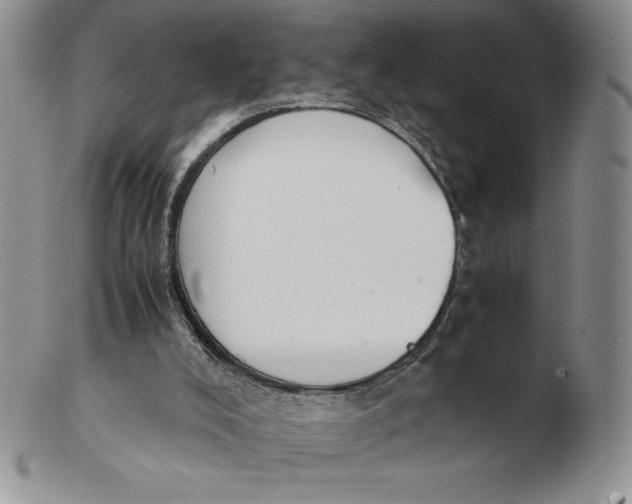 X0000102370008200808221750