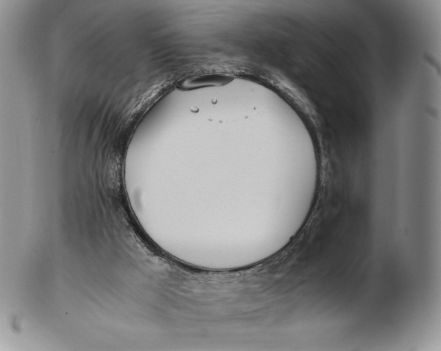 X0000102370009200808221750