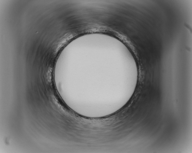 X0000102370010200808221750