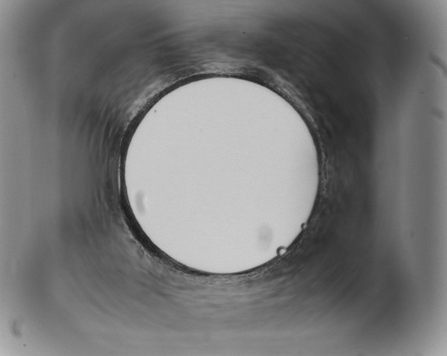 X0000102370011200808221750