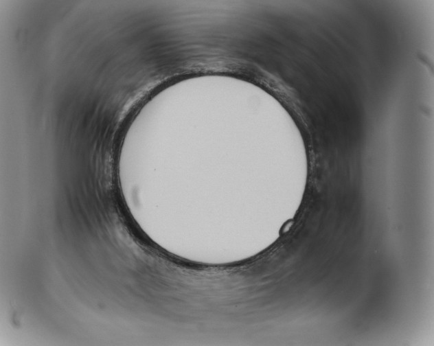 X0000102370012200808221750