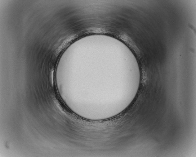 X0000102370014200808221750