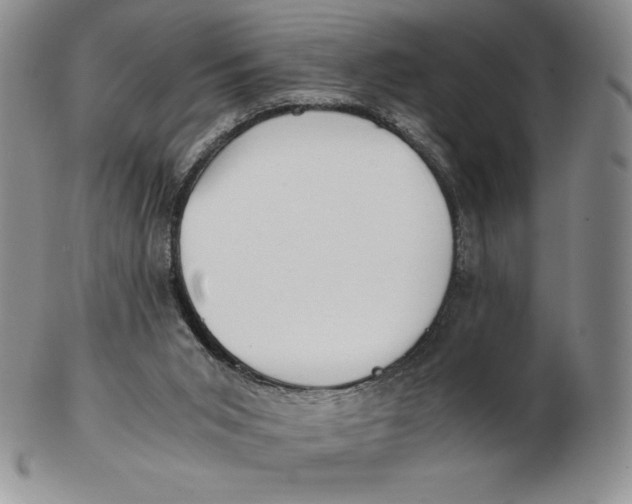 X0000102370015200808221750