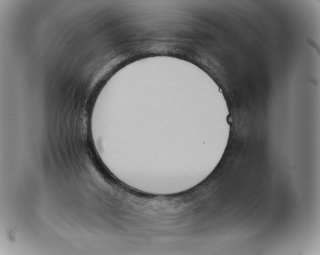 X0000102370016200808221750