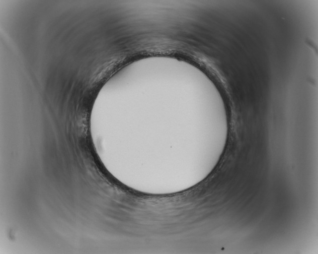 X0000102370017200808221750