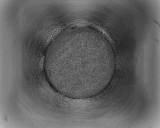 X0000102370018200808221750