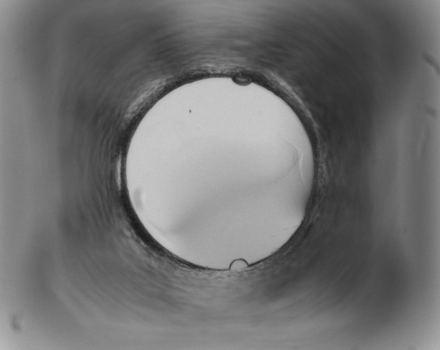 X0000102370019200808221750