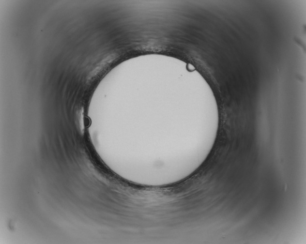 X0000102370020200808221750