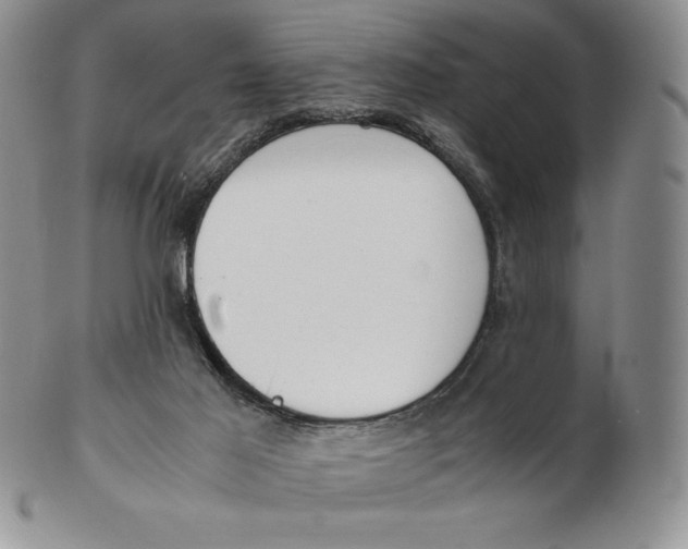 X0000102370021200808221750